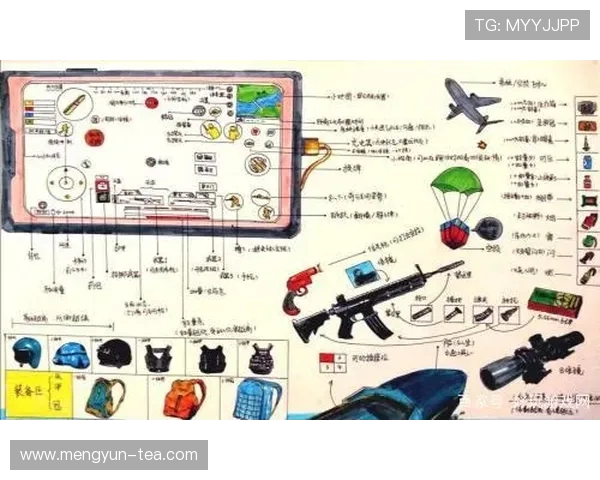 和平精英分析：深入探讨WE战队选手的个人技术与战术素养
