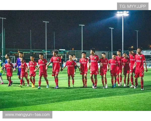 周伟独家解析足球技巧与战术分享助你提升球场表现