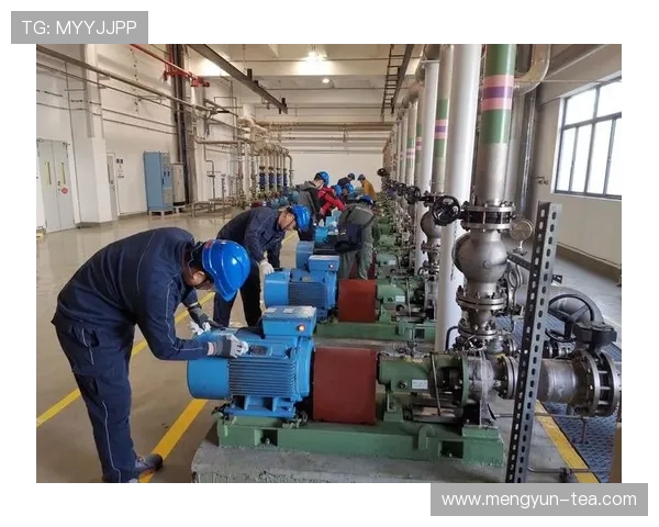 杭州极限运动队的盯防策略分析与成效评估探讨